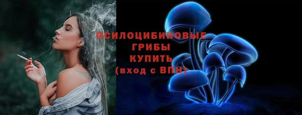 МДПВ Мегион