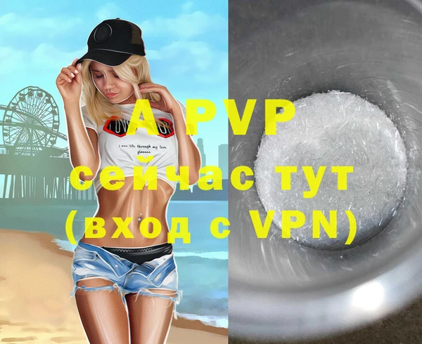твердый Майский