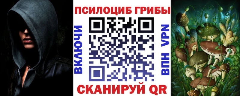 Псилоцибиновые грибы GOLDEN TEACHER Добрянка
